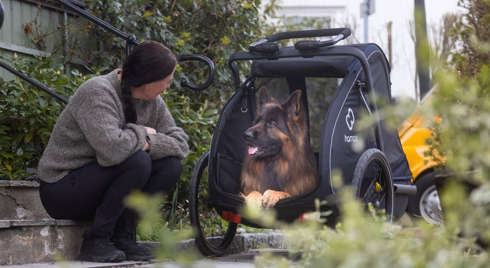 Hamax Pluto L - rimorchio per cani